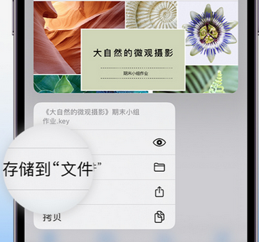 合浦apple维修中心分享iPhone文件应用中存储和找到下载文件