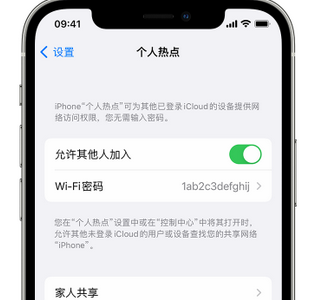 合浦apple服务站点分享iPhone上个人热点丢失了怎么办 