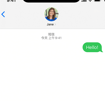 合浦apple维修iPhone上无法正常发送iMessage信息