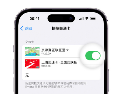 合浦apple维修点分享iPhone上更换Apple Pay快捷交通卡手绘卡面 