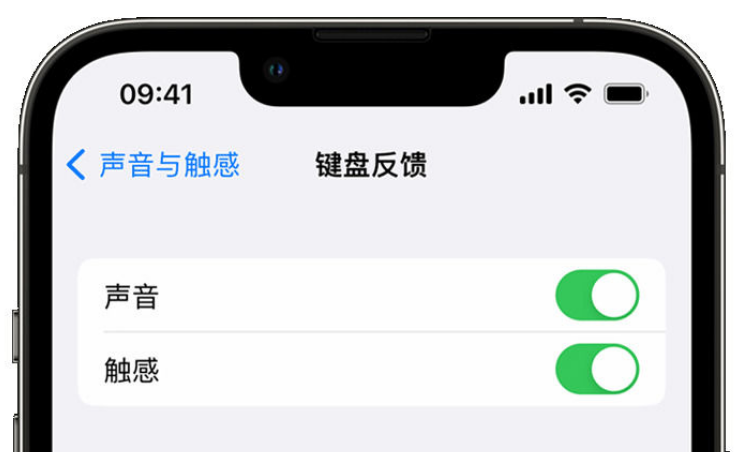 合浦苹果手机维修分享iPhone 14触感键盘使用方法 