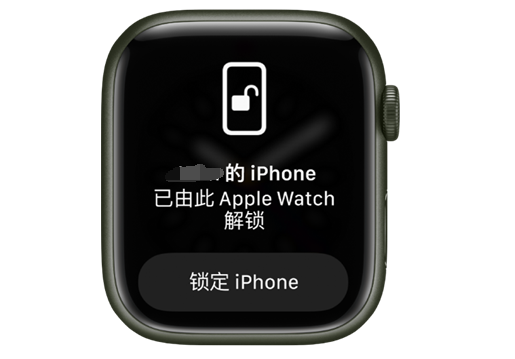 合浦苹果手机维修分享用 AppleWatch 解锁配备面容 ID 的 iPhone方法 