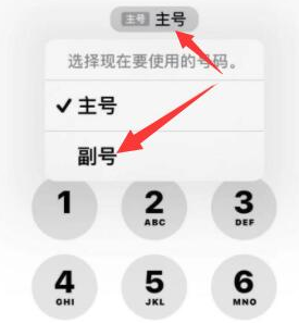 合浦苹果14维修店分享iPhone 14 Pro Max使用副卡打电话的方法 