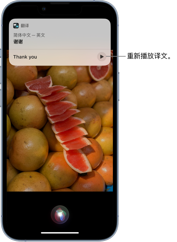 合浦苹果14维修分享 iPhone 14 机型中使用 Siri：了解 Siri 能帮你做什么 