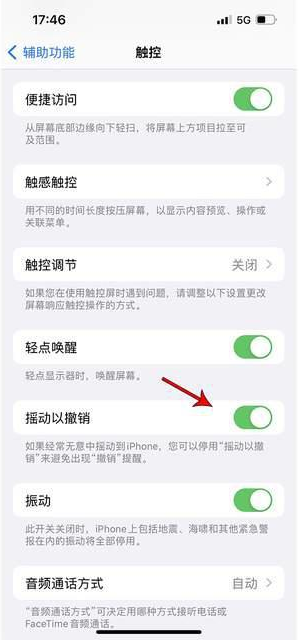 合浦苹果手机维修分享iPhone手机如何设置摇一摇删除文字 