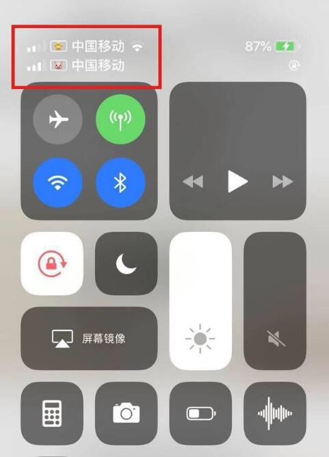 合浦苹果手机维修分享为 iPhone 12 双卡设置标签 